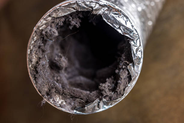 Best Air Duct Cleaning Company Near Me  in Las Palmas Ii, TX