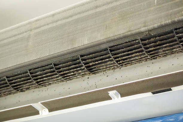 Best Affordable Duct Cleaning Services  in Las Palmas Ii, TX